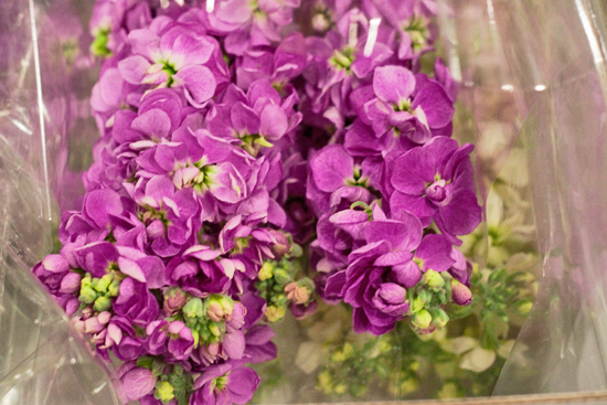 13-New-Covent-Garden-Flower-Market-May-Report-Flowerona.jpg?mtime=20170929141917#asset:12272