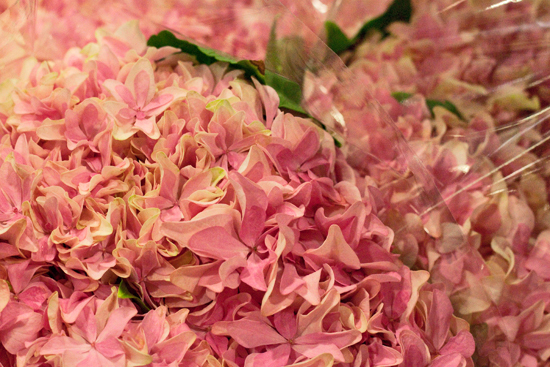 14-New-Covent-Garden-Flower-Market-May-Report-Flowerona.jpg?mtime=20170929141918#asset:12273