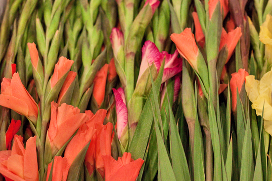 2-New-Covent-Garden-Flower-Market-Flowerona.jpg?mtime=20170928162339#asset:12024