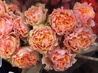 2012-01-campanella-peach.jpg?mtime=20171003170749#asset:12824