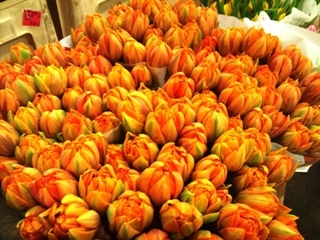 2012-01-orange-tulips.jpg?mtime=20171003170654#asset:12819