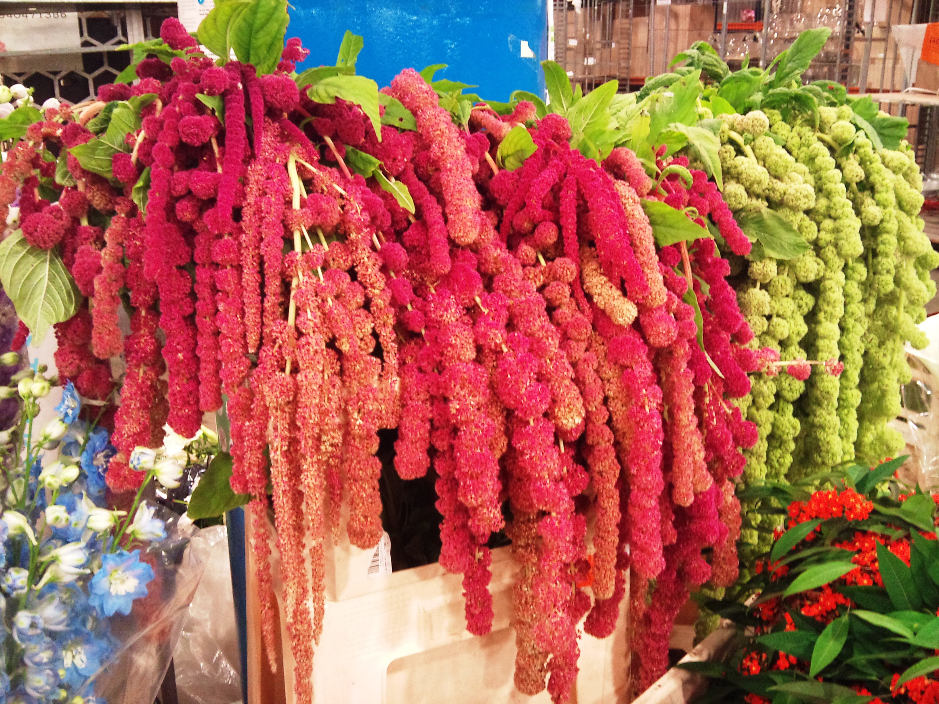 2012-09-love-lies-bleeding.jpg?mtime=20171003163205#asset:12731