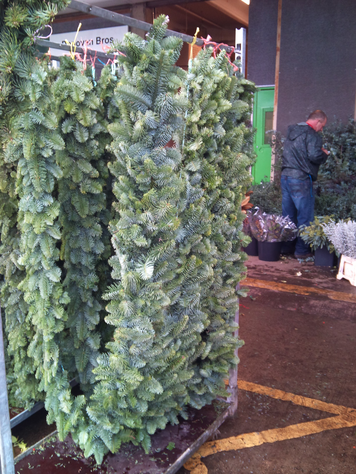 2012-12-GB-garlands.jpg?mtime=20171003154108#asset:12643
