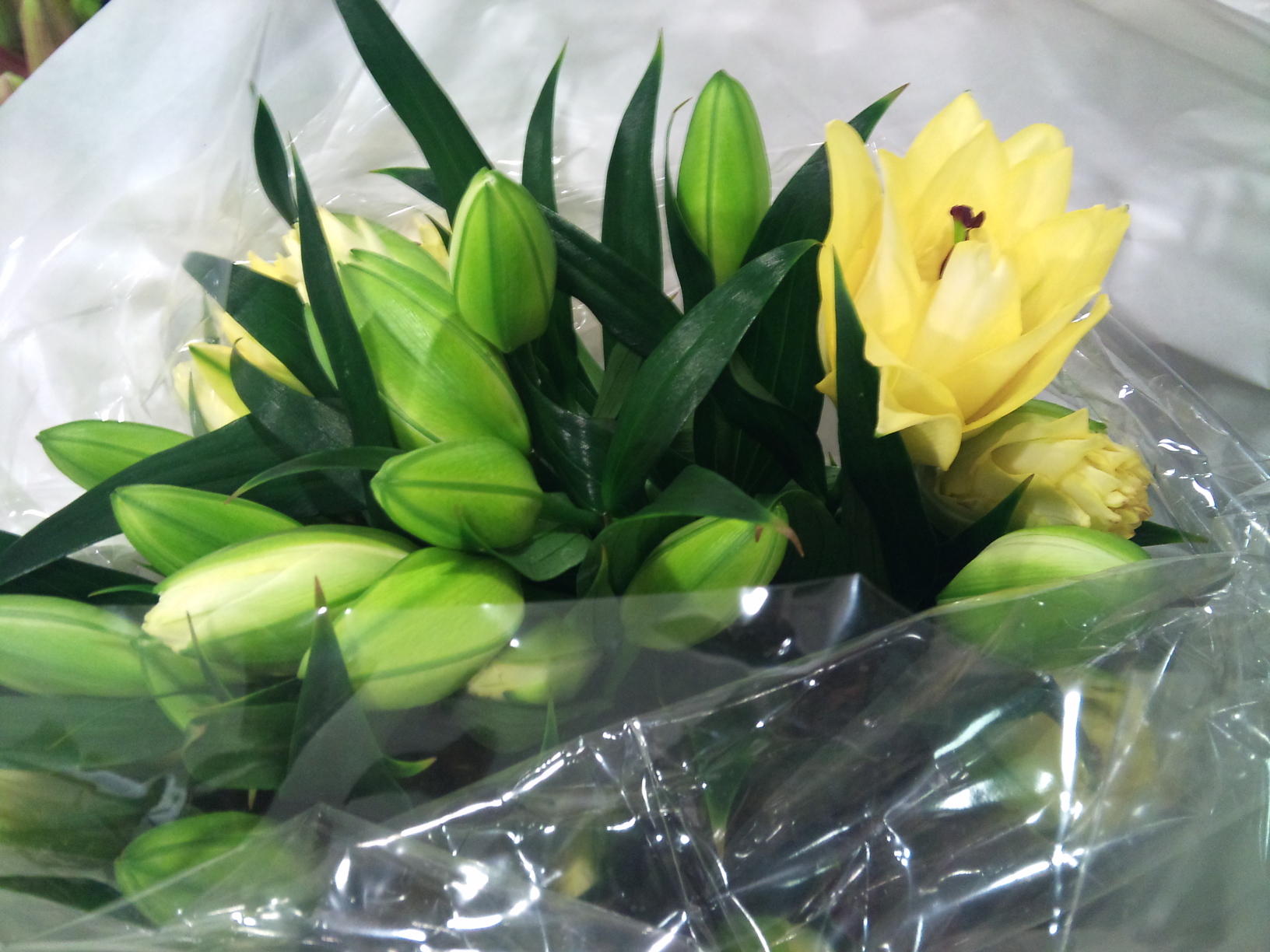2012-12-double-yellow-exotic-in-market.jpg?mtime=20171003154051#asset:12631