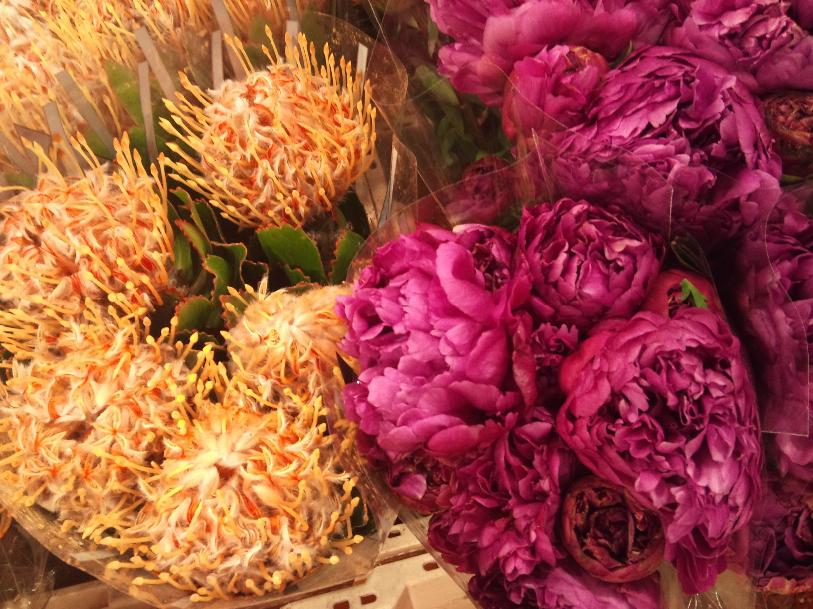 2012-12-peonies-leucospermum.jpg?mtime=20171003154123#asset:12657