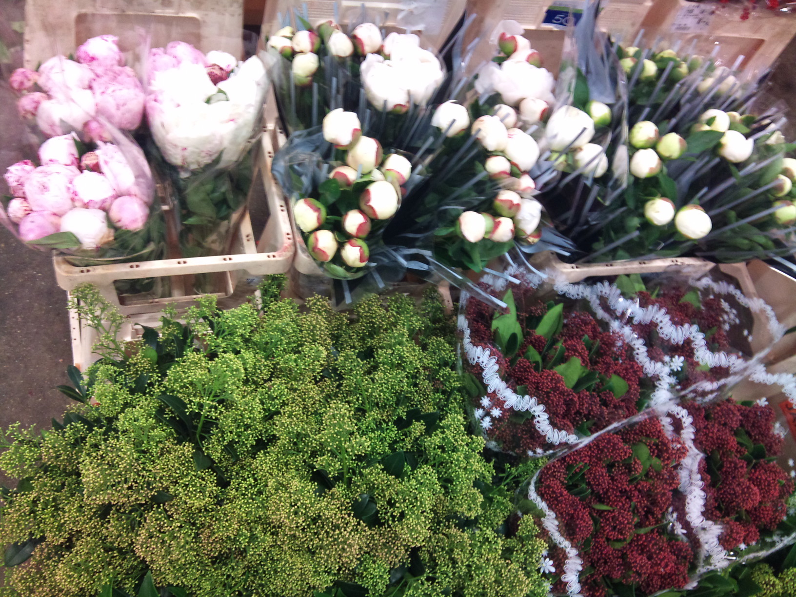 2012-12-peonies-skimmia.jpg?mtime=20171003154125#asset:12658