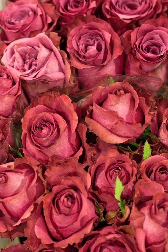 2013-02-Image-2-Bloomfield-Blueberry-Roses-Flowerona.jpg?mtime=20171003151735#asset:12552