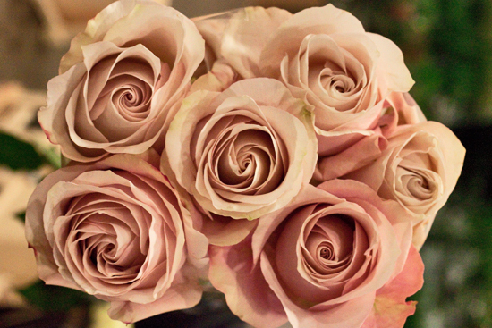 2013-02-Image-3-Bloomfield-Secret-Garden-Roses-Flowerona.jpg?mtime=20171003151735#asset:12553