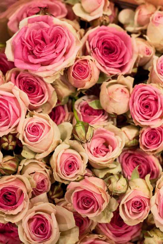 2013-02-Image-5-Bloomfield-Mimi-Eden-Spray-Roses-Flowerona.jpg?mtime=20171003151736#asset:12555