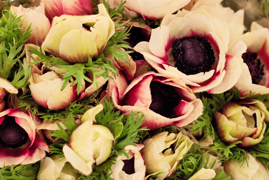 2013-04-1-Anemones-New-Covent-Garden-Flower-Market-Flowerona.jpg?mtime=20170929143146#asset:12297