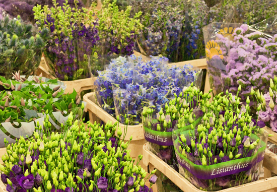 2013-04-17-S-Robert-Allen-New-Covent-Garden-Flower-Market-Flowerona-1.jpg?mtime=20170929143155#asset:12313