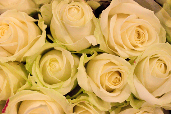 2013-04-19-Avalanche-Rose-Zest-Flowers-New-Covent-Garden-Flower-Market-Flowerona.jpg?mtime=20170929143156#asset:12315