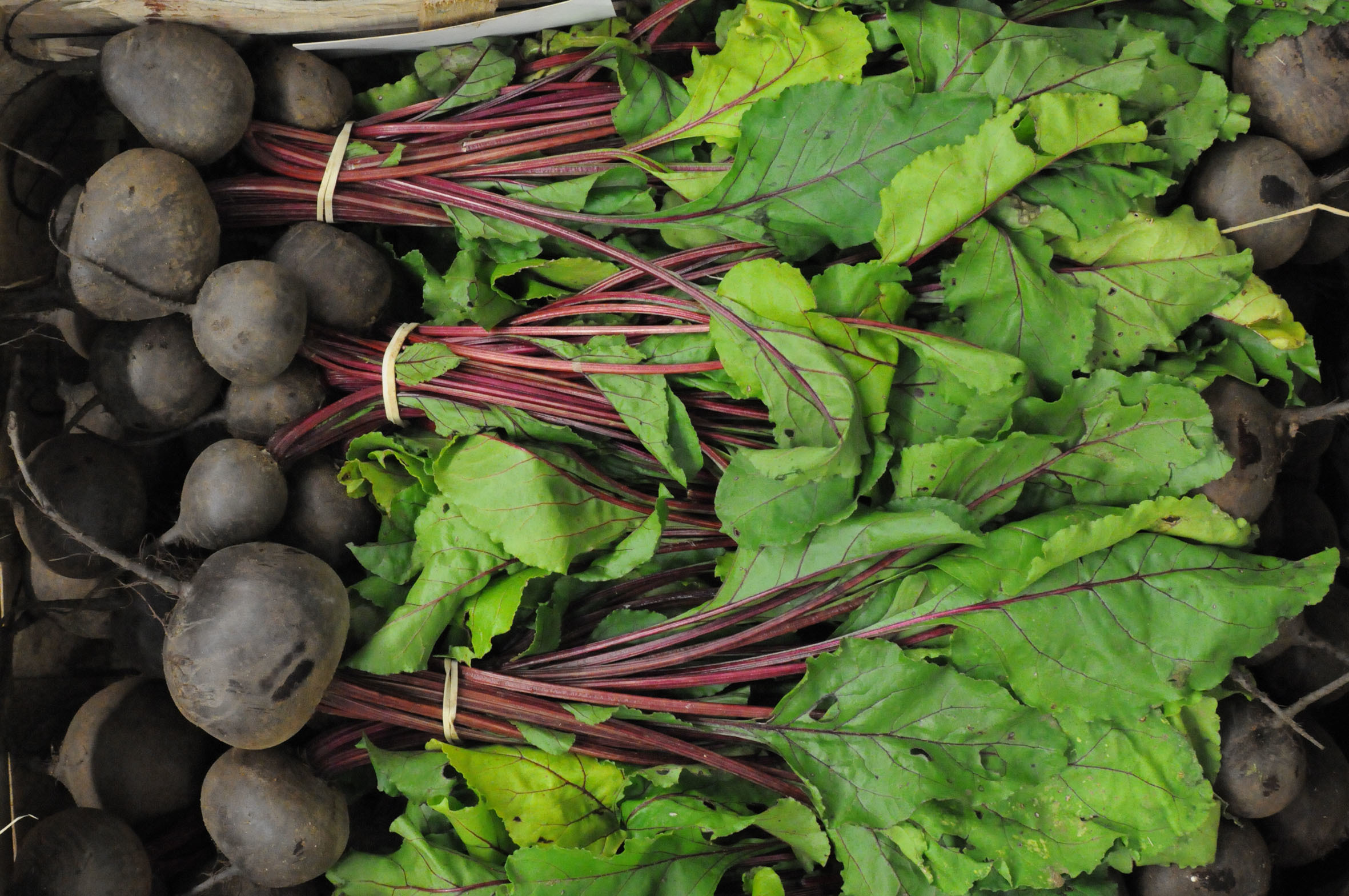 2013-09-01-Fruit-and-Veg-Market-Report-beetroot.jpg?mtime=20170922121304#asset:11427