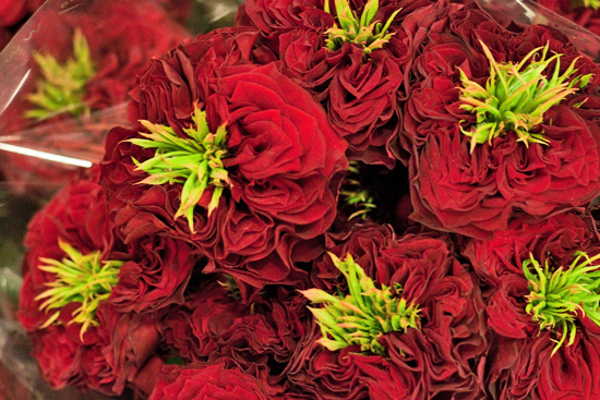 24-New-Covent-Garden-Flower-Market-May-Report-Flowerona.jpg?mtime=20170929141924#asset:12283