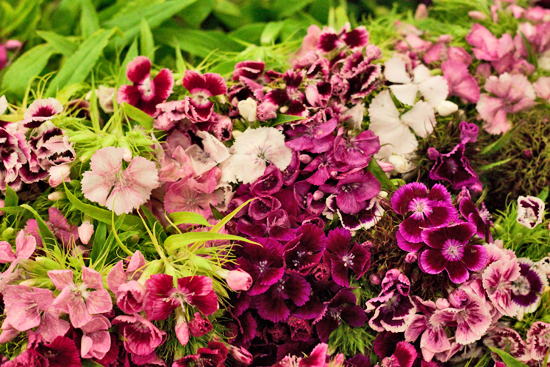 4-New-Covent-Garden-Flower-Market-Flowerona_170929_132904.jpg?mtime=20170929132904#asset:12191