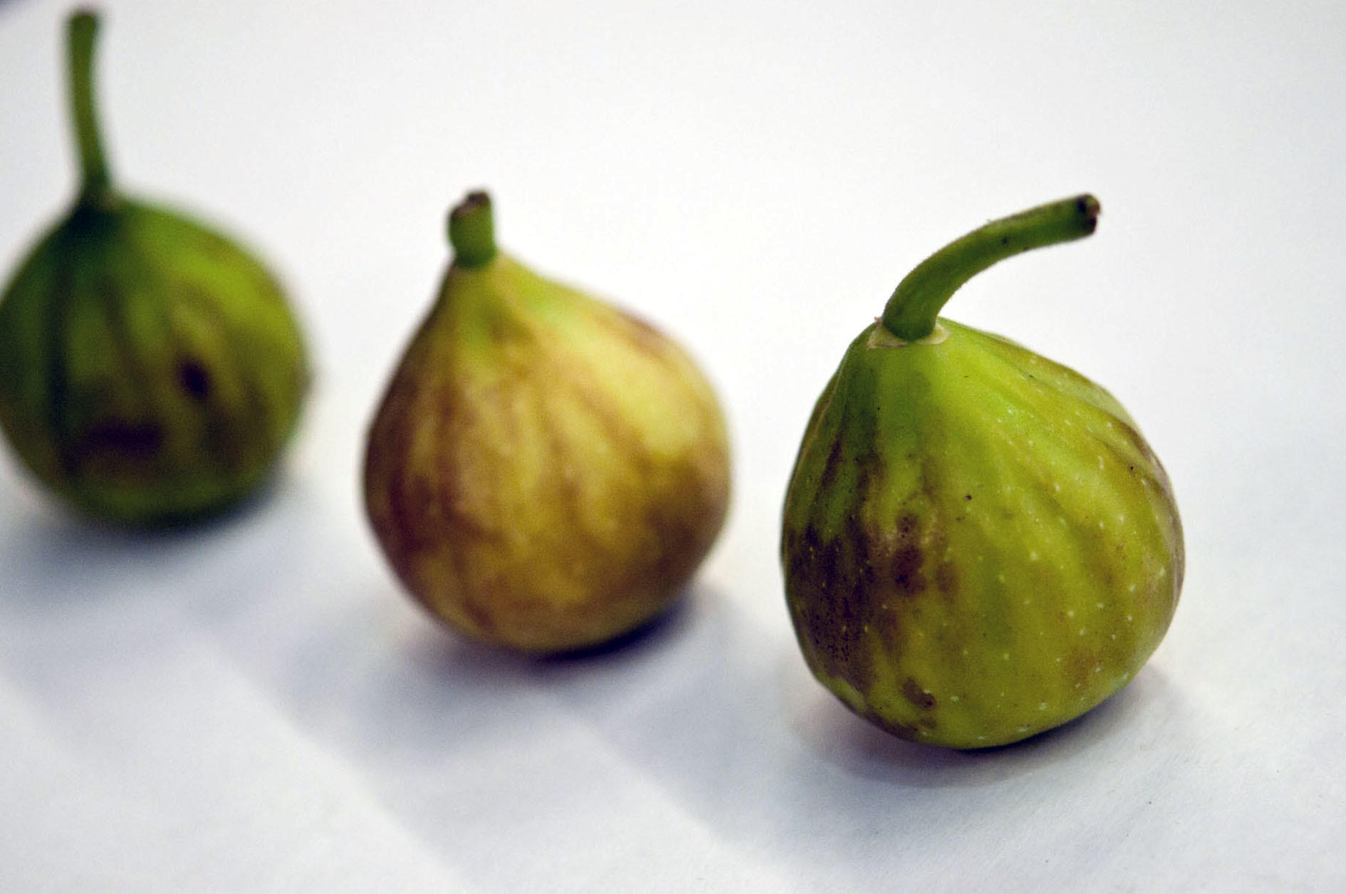 British_figs.jpg?mtime=20170922121306#asset:11428