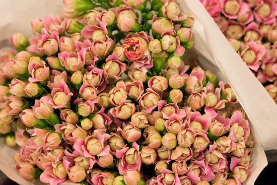 New-Covent-Garden-Flower-Market-April-Market-Report-Flowerona-13.jpg?mtime=20170913160633#asset:10315