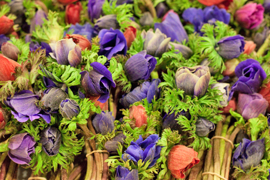 New-Covent-Garden-Flower-Market-April-Market-Report-Flowerona-8.jpg?mtime=20170913160733#asset:10310