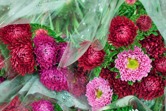 New-Covent-Garden-Flower-Market-August-Market-Report-Flowerona-2.jpg?mtime=20170913121114#asset:10088