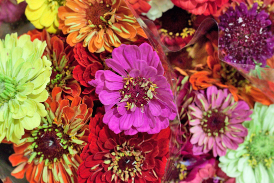 New-Covent-Garden-Flower-Market-August-Market-Report-Flowerona-4.jpg?mtime=20170913121115#asset:10090