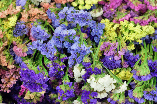 New-Covent-Garden-Flower-Market-August-Market-Report-Flowerona-9.jpg?mtime=20170913121118#asset:10095