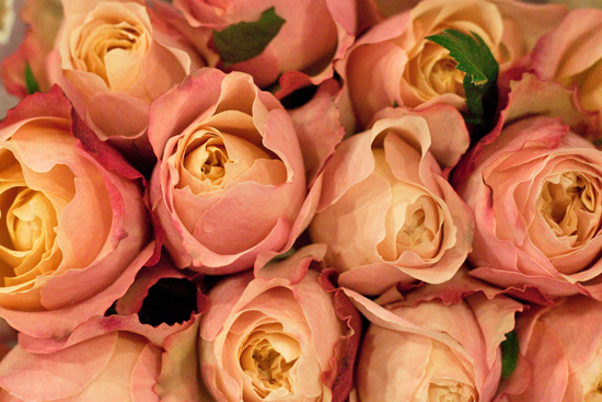 New-Covent-Garden-Flower-Market-February-2014-Market-Report-Flowerona-14.jpg?mtime=20170914103151#asset:10469
