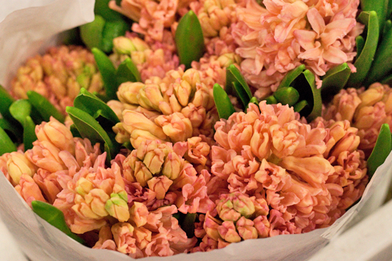 New-Covent-Garden-Flower-Market-February-2014-Market-Report-Flowerona-20.jpg?mtime=20170914103156#asset:10475