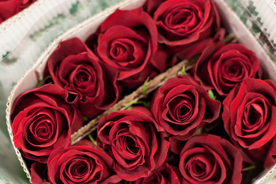 New-Covent-Garden-Flower-Market-February-2014-Market-Report-Flowerona-6.jpg?mtime=20170914103146#asset:10461