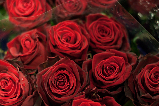New-Covent-Garden-Flower-Market-February-2014-Market-Report-Flowerona-7.jpg?mtime=20170914103147#asset:10462