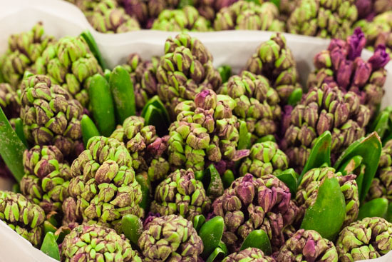 New-Covent-Garden-Flower-Market-February-2015-Market-Report-Flowerona-15.jpg?mtime=20170907141428#asset:9677