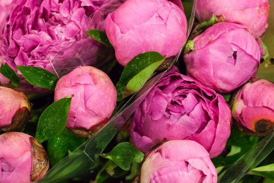 New-Covent-Garden-Flower-Market-February-2015-Market-Report-Flowerona-17.jpg?mtime=20170907141428#asset:9679