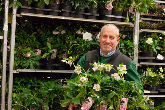 New-Covent-Garden-Flower-Market-February-2015-Market-Report-Flowerona-18.jpg?mtime=20170907141429#asset:9680