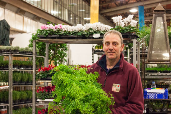 New-Covent-Garden-Flower-Market-February-2015-Market-Report-Flowerona-21.jpg?mtime=20170907141430#asset:9683