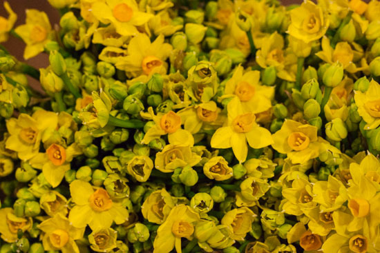 New-Covent-Garden-Flower-Market-February-2015-Market-Report-Flowerona-3.jpg?mtime=20170907141942#asset:9697