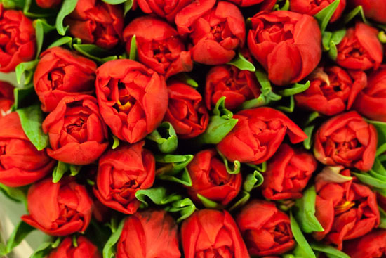 New-Covent-Garden-Flower-Market-February-2015-Market-Report-Flowerona-4.jpg?mtime=20170907141423#asset:9666