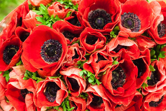 New-Covent-Garden-Flower-Market-February-2015-Market-Report-Flowerona-5.jpg?mtime=20170907141423#asset:9667