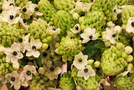 New-Covent-Garden-Flower-Market-January-2014-Flowerona-22.jpg?mtime=20170914105210#asset:10524