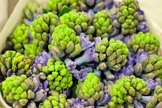 New-Covent-Garden-Flower-Market-January-2014-Flowerona-3.jpg?mtime=20170914105200#asset:10503