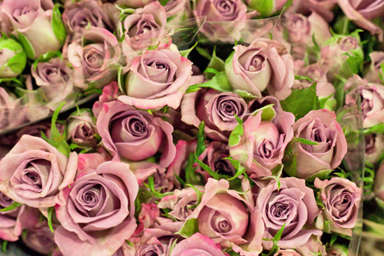 New-Covent-Garden-Flower-Market-January-2014-Flowerona-6.jpg?mtime=20170914105201#asset:10507