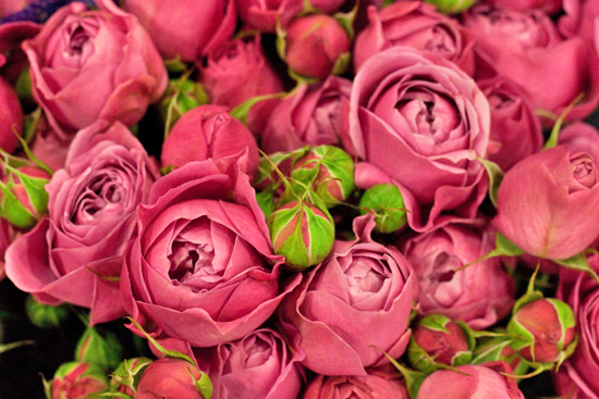 New-Covent-Garden-Flower-Market-January-2014-Flowerona-7.jpg?mtime=20170914105203#asset:10509
