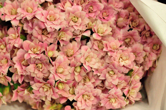 New-Covent-Garden-Flower-Market-June-Market-Report-Flowerona-21.jpg?mtime=20170913123938#asset:10217