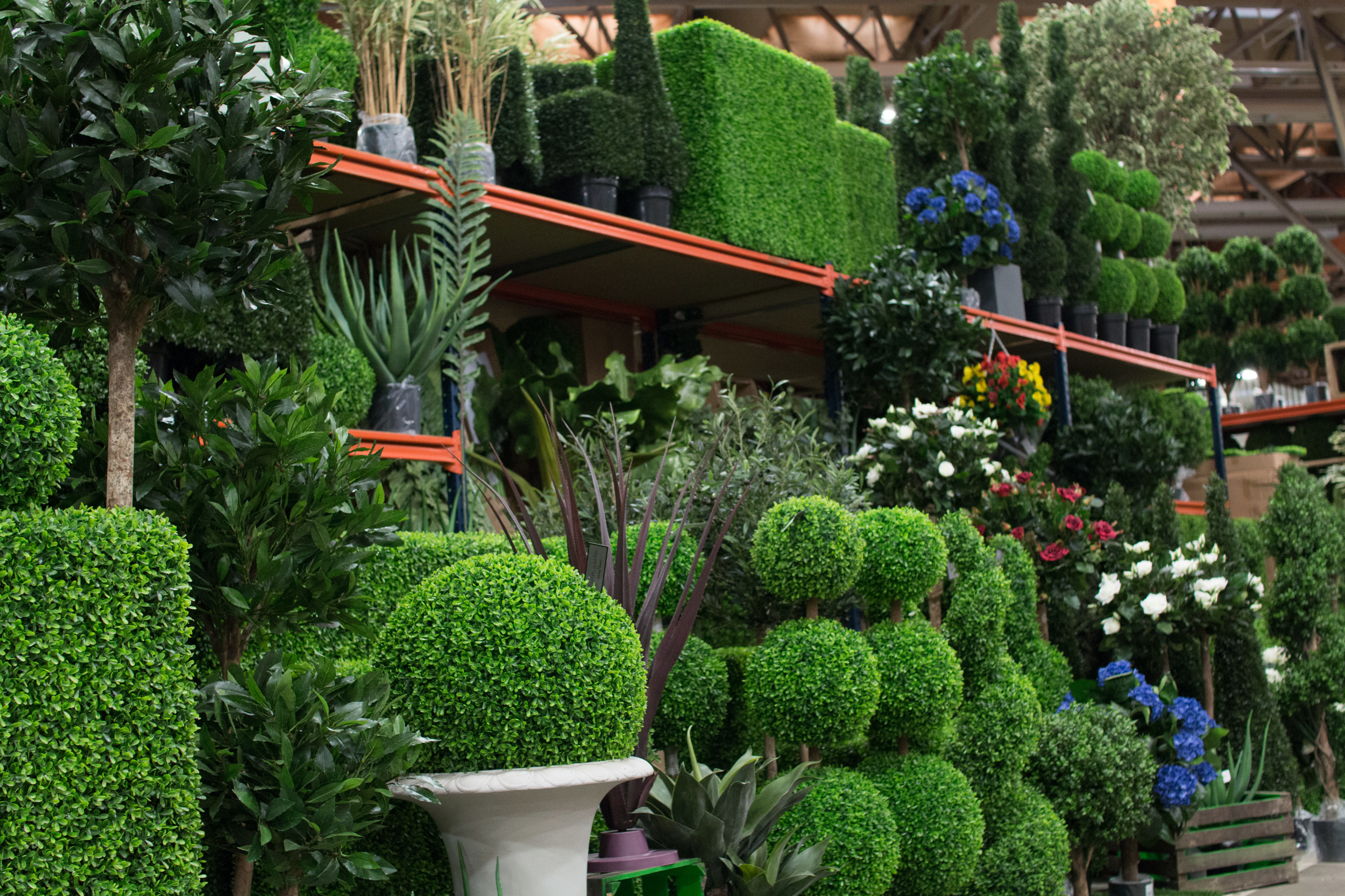 New Covent Garden Flower Market March 2016 Market Report Flowerona Hr 32