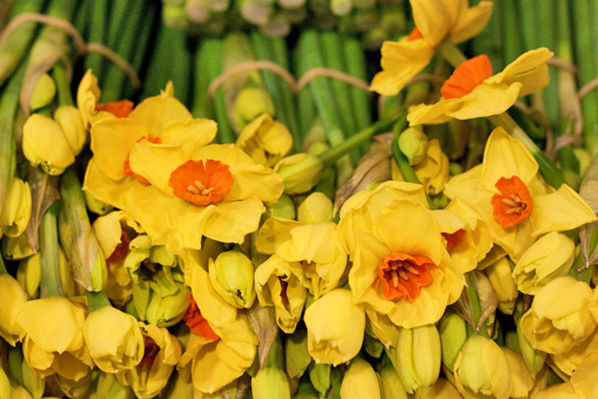 New-Covent-Garden-Flower-Market-March-Market-Report-Flowerona-1.jpg?mtime=20170913161841#asset:10376