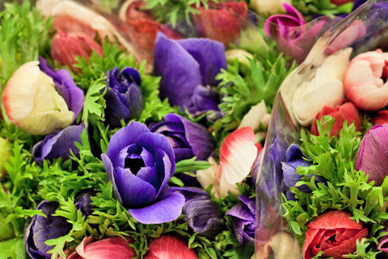 New-Covent-Garden-Flower-Market-March-Market-Report-Flowerona-11.jpg?mtime=20170913161825#asset:10358
