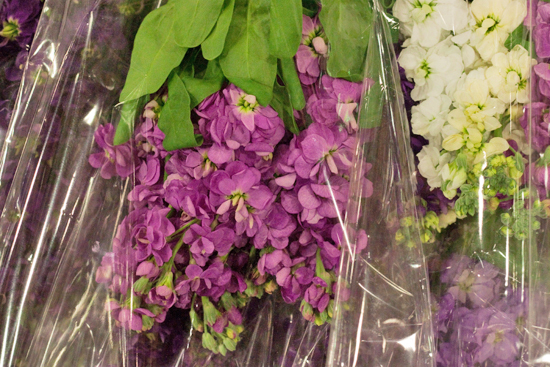 New-Covent-Garden-Flower-Market-May-Market-Report-Flowerona-3.jpg?mtime=20170913155037#asset:10257