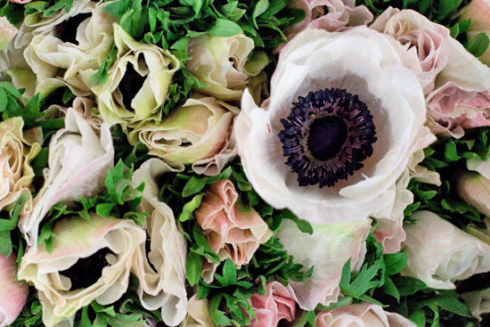 New-Covent-Garden-Flower-Market-November-Market-Report-Flowerona-1.jpg?mtime=20170908154730#asset:9810