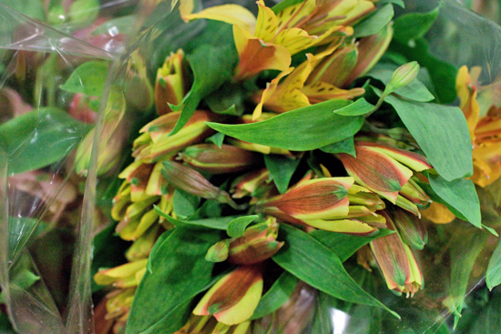 New-Covent-Garden-Flower-Market-November-Market-Report-Flowerona-3.jpg?mtime=20170913112704#asset:9812