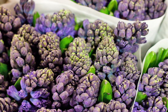 New-Covent-Garden-Flower-Market-November-Market-Report-Flowerona-6.jpg?mtime=20170908154733#asset:9815
