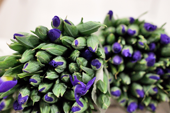 New-Covent-Garden-Flower-Market-October-Market-Report-Flowerona-6.jpg?mtime=20170913114019#asset:9995