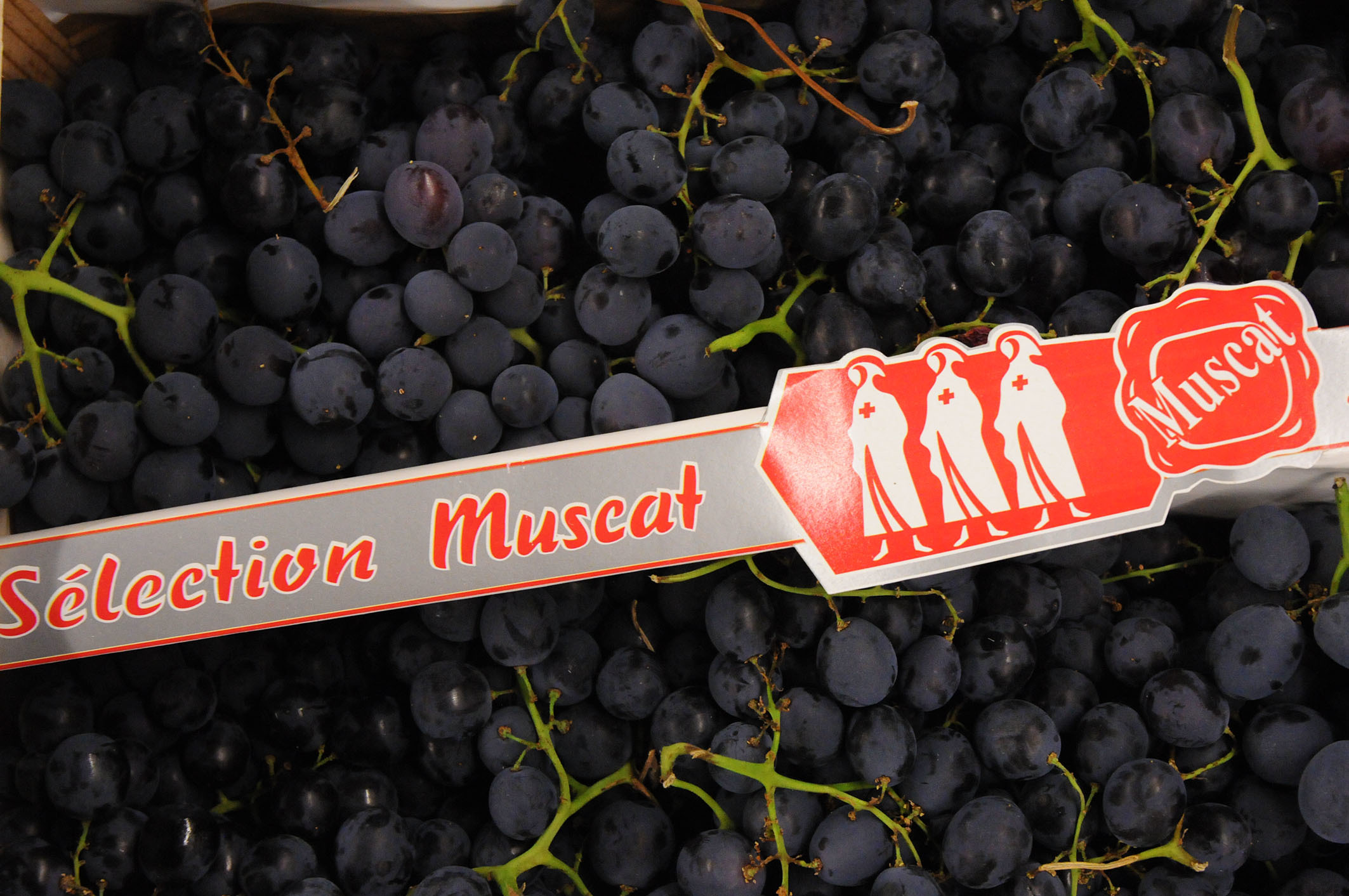 Muscat-grapes.jpg?mtime=20170922143125#asset:11516